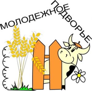 molodezhnoe_podvore_0