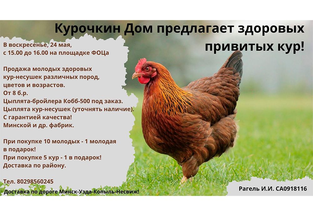 Курочкин Дом предлагает