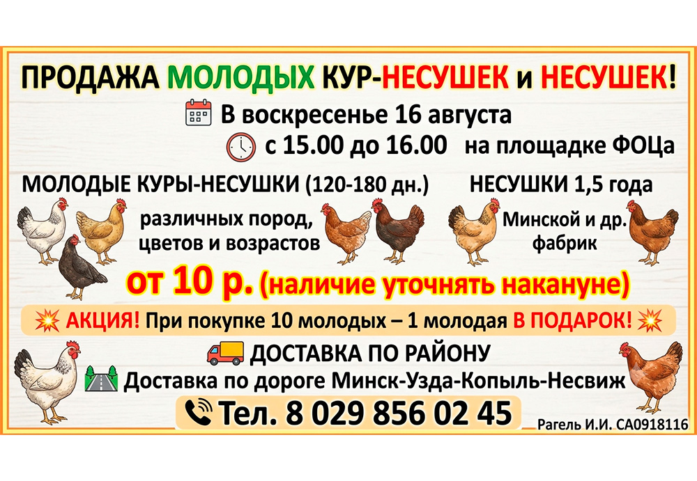 Продажа молодых кур-несушек!