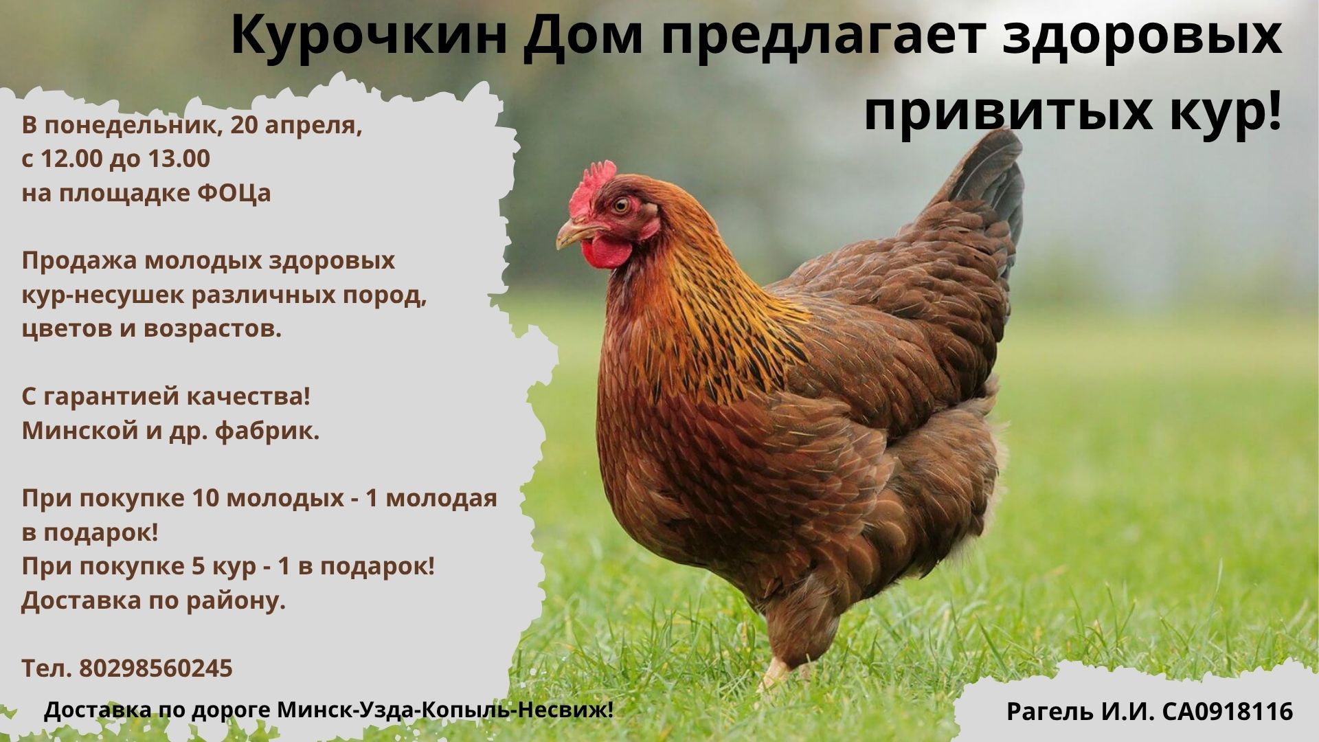 Курочкин Дом предлагает