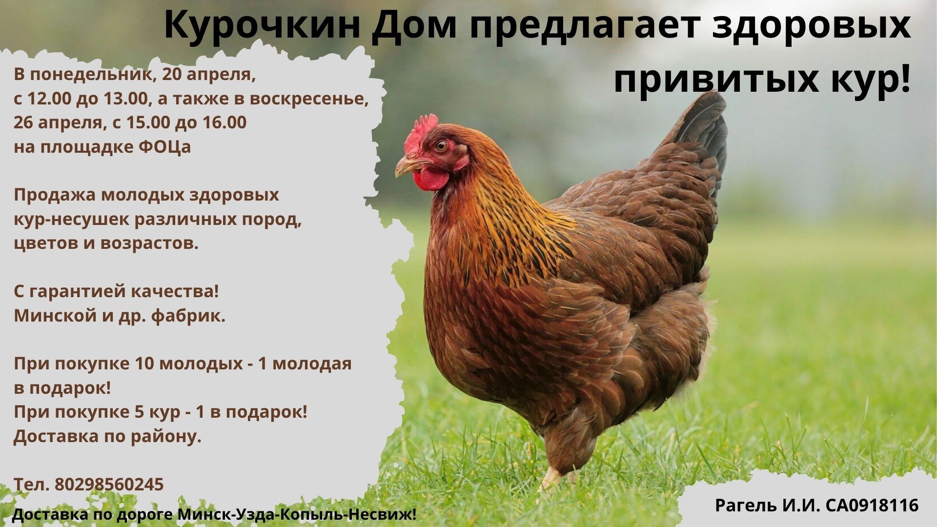 Курочкин Дом предлагает