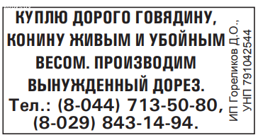 Куплю дорого говядину, конину живым и убойным весом