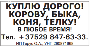 Куплю дорого! Корову, быка, коня, телку!