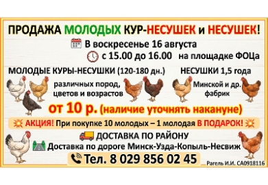 Продажа молодых кур-несушек различных пород, цветов и возрастов