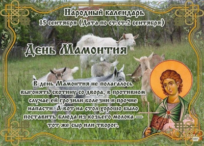 Нажмите для предварительного просмотра изображения
