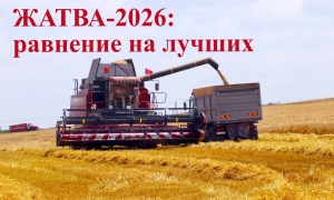 Следим за ходом жатвы – аграрии Копыльщины уверенно наращивают темпы уборки