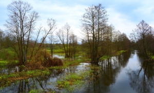 Рябов рассказал о состоянии почвы – пора ли начинать посадки в огороде?