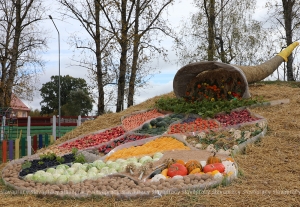 Новости с полей: как аграрии Копыльщины справляются с осенними полевыми хлопотами?