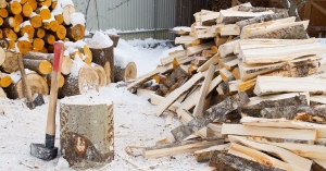 Гид по выбору дров: какие поленья идеально подойдут для печи, бани и камина?
