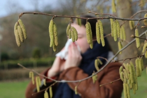 Первая волна аллергии накрыла страну. Главный провокатор – береза