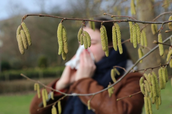 Первая волна аллергии накрыла страну. Главный провокатор – береза