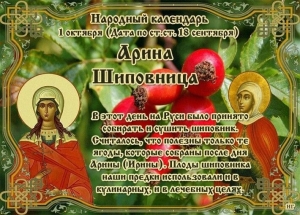1 октября — Арина Шиповница: главные запреты, именины и народные приметы