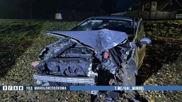 Авария под Копылем: 36-летняя женщина съехала в кювет и врезалась в дерево