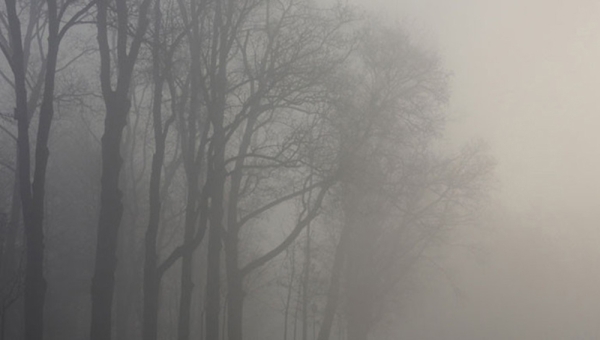 МЧС предупредило о факторах опасности при тумане и сильных осадках