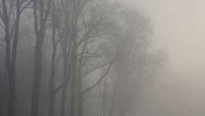 Нажмите для предварительного просмотра изображения