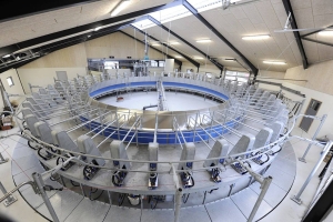 На ферме в Копыльском районе работница получила производственную травму