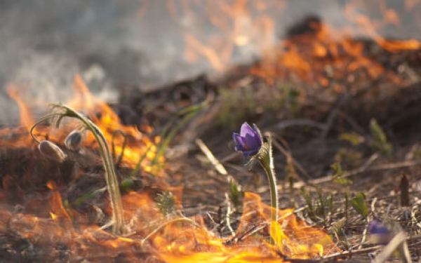 Об итогах пожароопасного периода