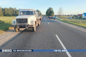 Шестилетняя девочка попала под колеса легковушки в Копыльском районе