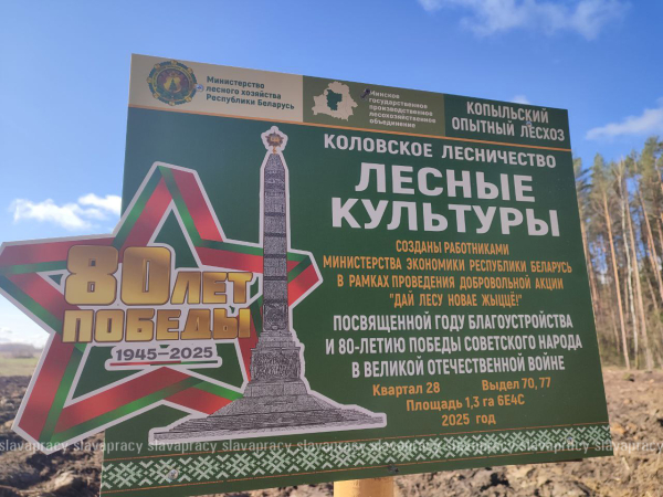 Министр экономики Республики Беларусь принимает участие республиканском субботнике на Копыльщине