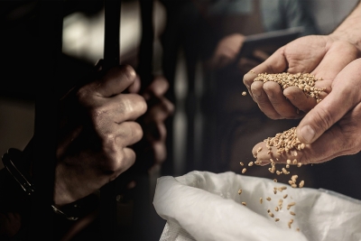 Нажмите для предварительного просмотра изображения