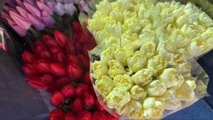 Парковка по-новому: как изменится схема движения в Копыле с 6 по 8 марта