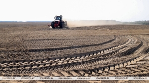 Минская область планирует завершить посевную в первой декаде апреля