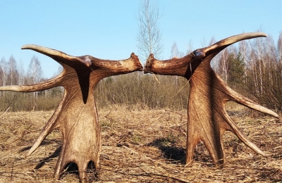 Нажмите для предварительного просмотра изображения