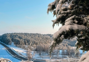Арктический финал и циклон с юга – когда в Беларусь придет долгожданное тепло?