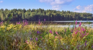 Ливни, туманы и +30°C – чем удивит погода в последние дни августа