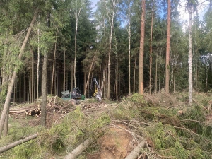 Рассказываем об итогах рейдов по лесхозам Минской области