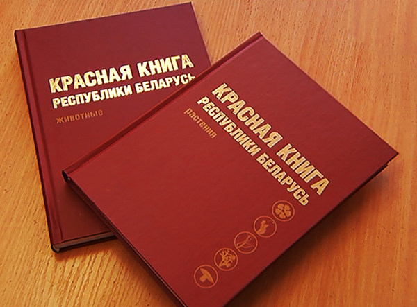 Готовится к изданию новая редакция Красной книги Беларуси