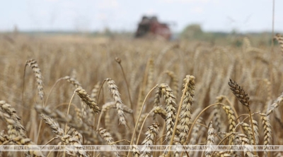 Нажмите для предварительного просмотра изображения