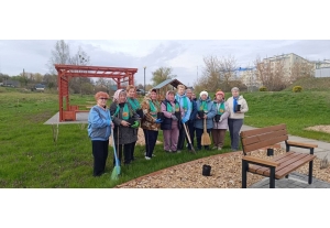 Парк Единства в Копыле украсили японские ивы – БСЖ и Совет ветеранов вышли на субботник