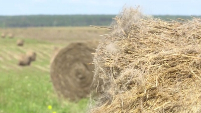 Нажмите для предварительного просмотра изображения