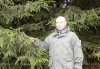 Елки – будут! А ельники? Вся правда о «исчезновении» главного символа Нового года