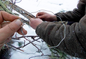 Петли беззакония – как инспекторы выслеживают браконьеров-«петельщиков»