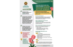 Вниманию физических лиц, осуществляющих реализацию самостоятельно выращенной цветочной продукции