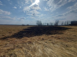 Попытка тушения травы обернулась реанимацией для жителя Копыльщины