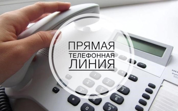26 декабря член Постоянной комиссии Совета Республики Национального собрания Республики Беларусь по образованию, науке, культуре и социальному развитию проведет прямую телефонную линию