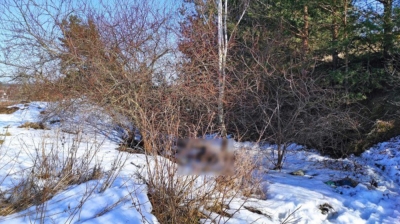 Нажмите для предварительного просмотра изображения