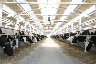 Нажмите для предварительного просмотра изображения