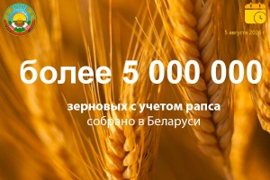 Есть пятый миллион! Намолот зерна в Беларуси вырос почти на 2 млн тонн к 2025 году