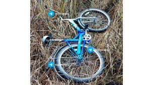 В Березинском районе нашли велосипед, на котором, предположительно, уехал Максим Зенькович