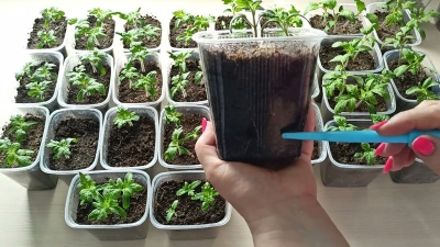 Нажмите для предварительного просмотра изображения