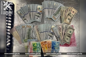 Незаконно ввозил более $33 тысяч: в аэропорту Минска задержали пассажира из Тель-Авива