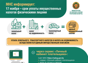 17 ноября - срок уплаты имущественных налогов физическими лицами