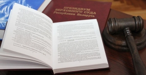 Житель Минской области получил реальный срок за нападение на судебного исполнителя