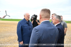 Фермерские хозяйства в центре внимания: Президент инспектирует Житковичский район
