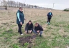 Студенты в деле – узнали детали экологической акции учащихся колледжа в агрогородке Мажа