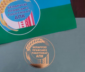 Ирина Степуро: профсоюз всегда стоит на защите прав и интересов работников